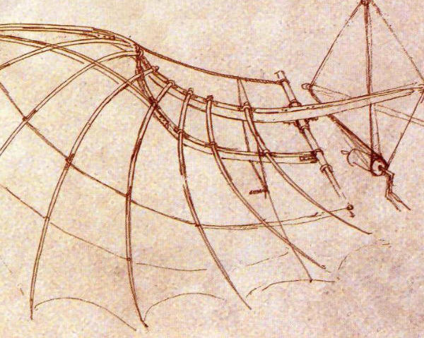 Leonardo da Vinci drawing detail of wings